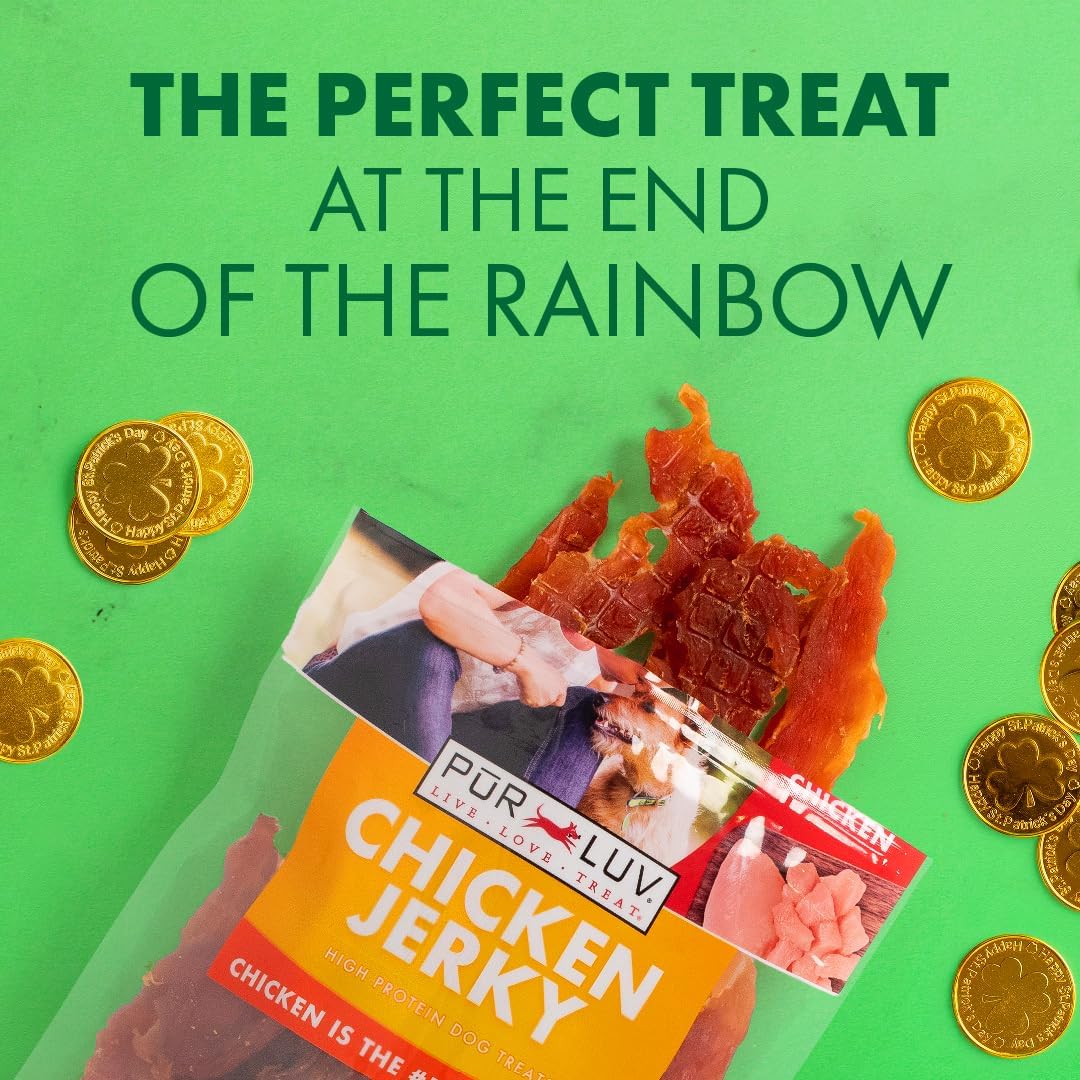 Chicken Jerky Dog Treats, Made with 100% Real Chicken Breast, High Protein Natural Chew Treats for Dogs, 16 oz
