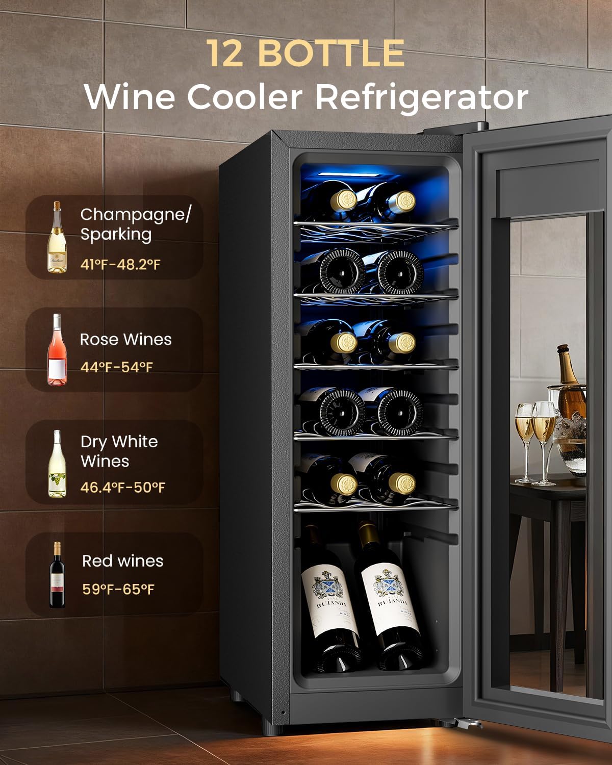 12 Bottle Wine Cooler Refrigerator – Freestanding Small Wine Fridge with Glass Door & Digital Temperature Control, Black