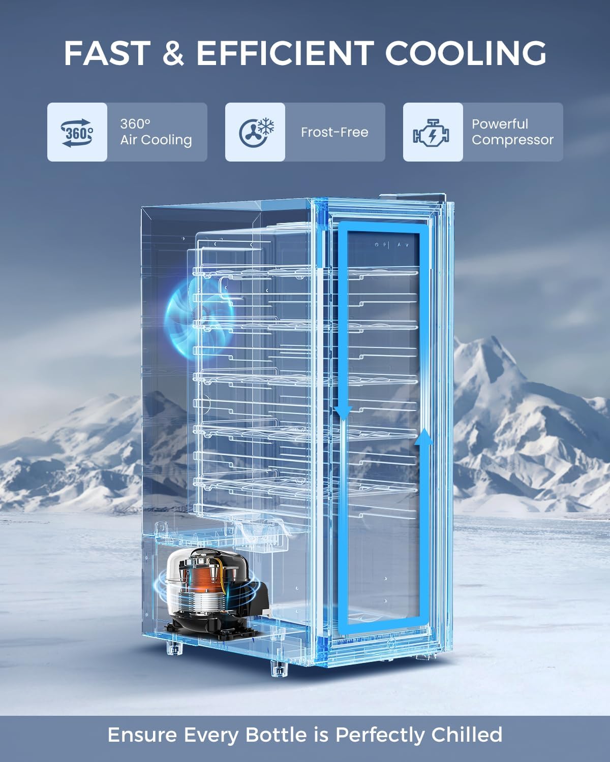 12 Bottle Wine Cooler Refrigerator – Freestanding Small Wine Fridge with Glass Door & Digital Temperature Control, Black