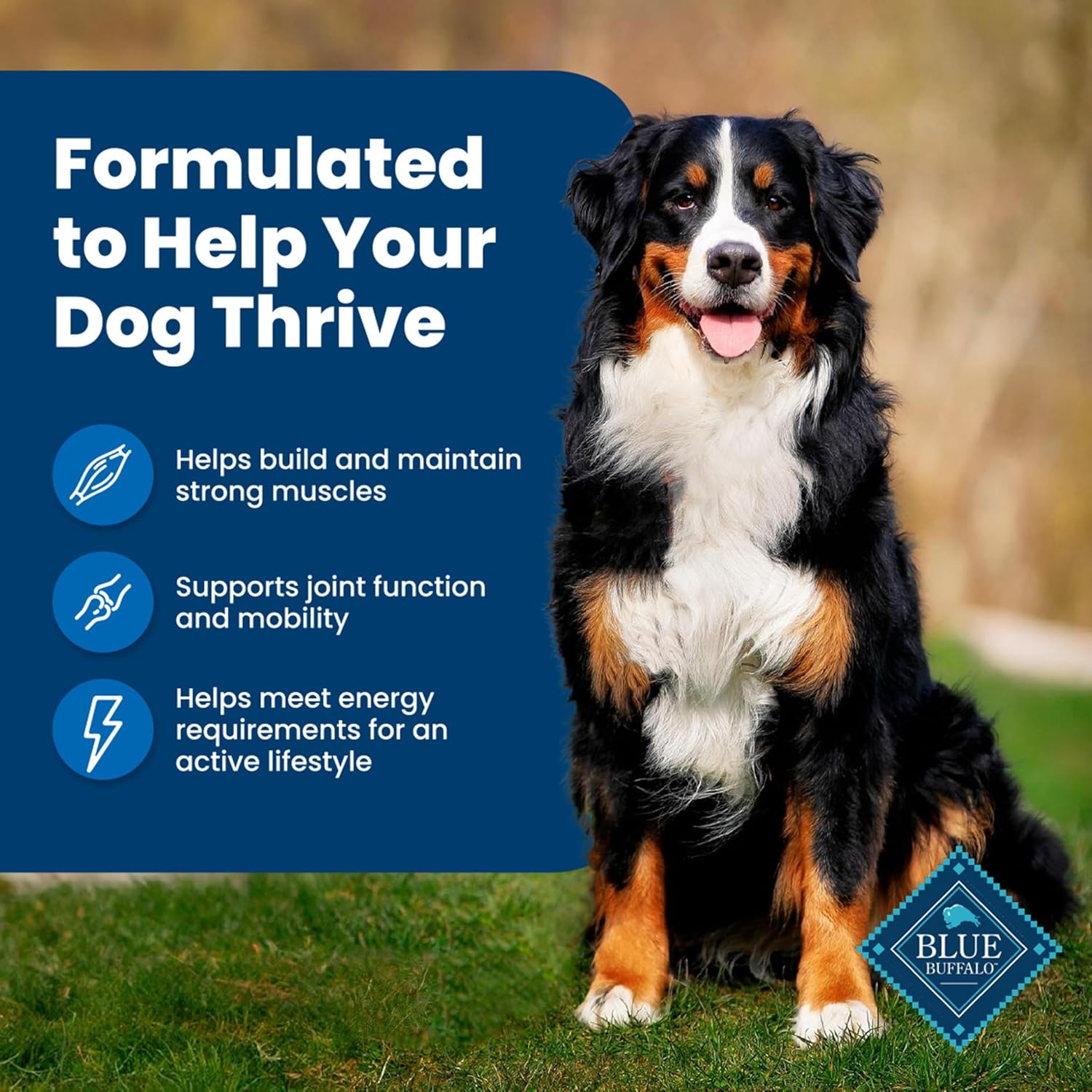 Life Protection Formula Adult Dry Dog Food, Chicken & Brown Rice Recipe, Natural Ingredients, 30 lb Bag