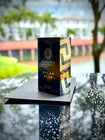 Versace Pour Homme Dylan Blue Cologne Eau De Toilette Natural Spray MEN